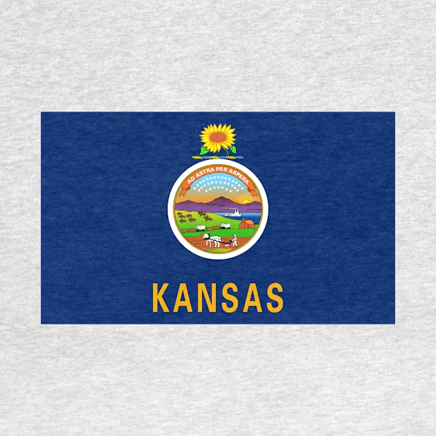 Flag of Kansas by pdpress